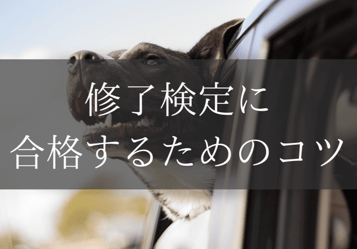 修了検定に合格するためのコツ まな太郎どっとこむ