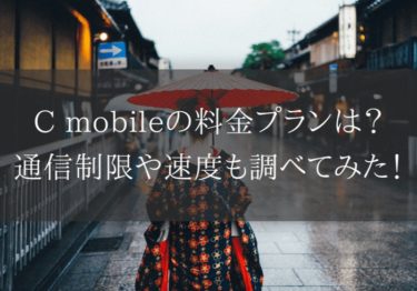 C mobileなら月額料金2,800円からWiFi利用可能！