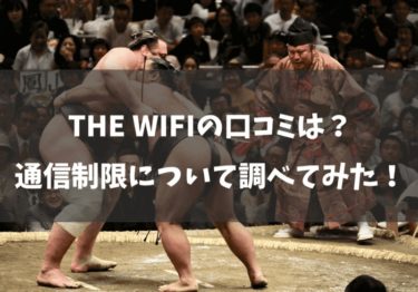 THE WiFiの口コミは？1日5GBの制限ってホントなの！？