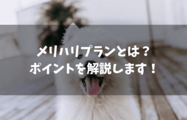 ソフトバンクのメリハリプランのデメリットは？ポイントを解説します！